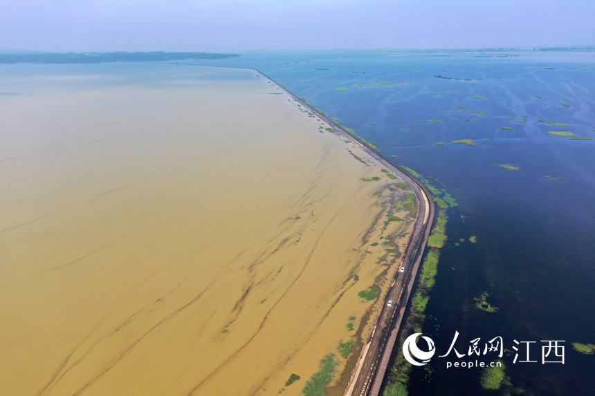 永吳公路如一道“分割線”，航拍鏡頭下鄱陽湖湖水清濁分明。 人民網 時雨攝