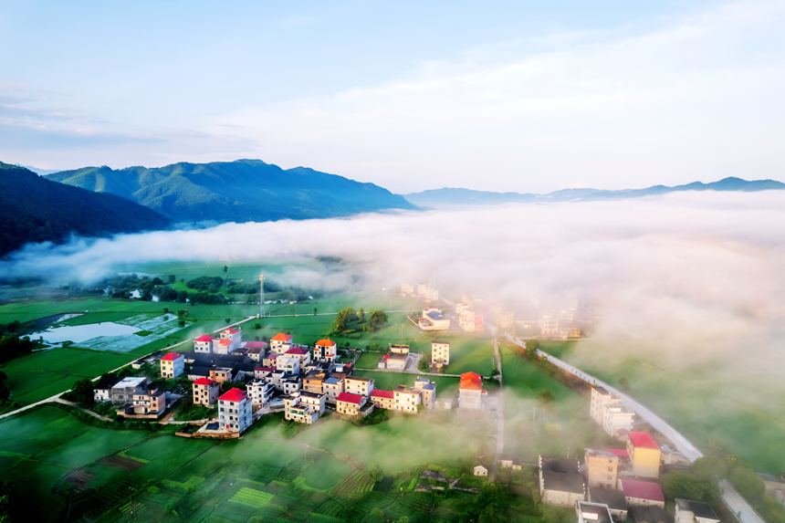 永新縣在中鄉出現雲海景觀（無人機照片）。陳春久攝