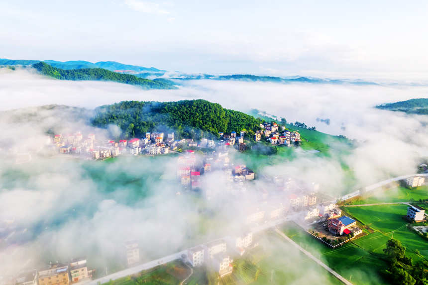 永新縣在中鄉出現雲海景觀（無人機照片）。陳春久攝