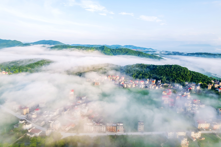 永新縣在中鄉出現雲海景觀（無人機照片）。陳春久攝