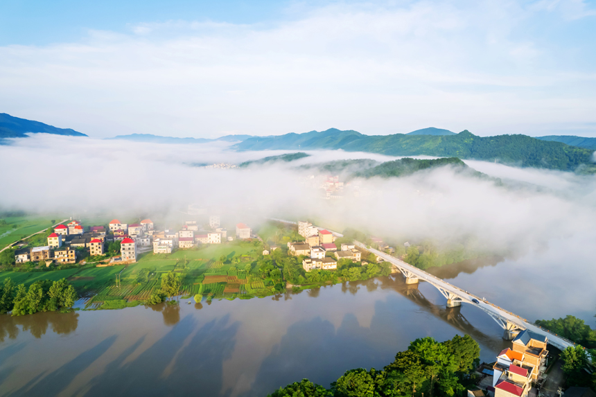 永新縣在中鄉出現雲海景觀（無人機照片）。陳春久攝