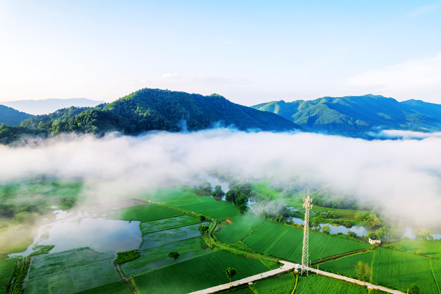 永新縣在中鄉出現雲海景觀（無人機照片）。陳春久攝