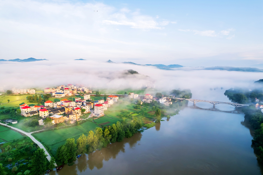 永新縣在中鄉出現雲海景觀（無人機照片）。陳春久攝