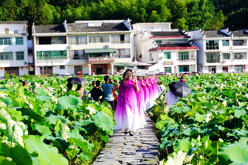 旗袍走秀进景区。何佳璎摄