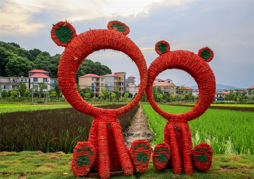 芦溪县银河镇乌石村稻田公园。刘芸池摄