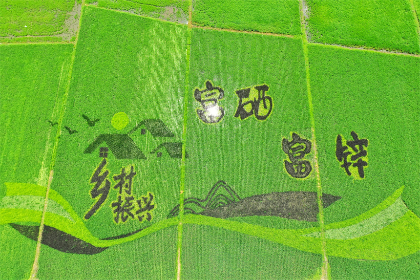 芦溪县银河镇乌石村稻田公园。王强摄