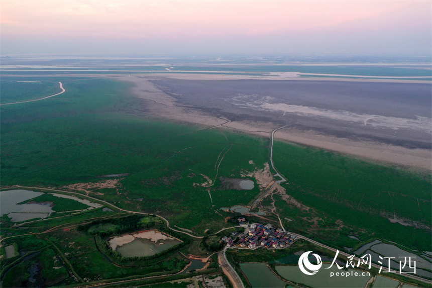 中國最大的淡水湖鄱陽湖水位快速下降，提前進入枯水期。 人民網 時雨攝