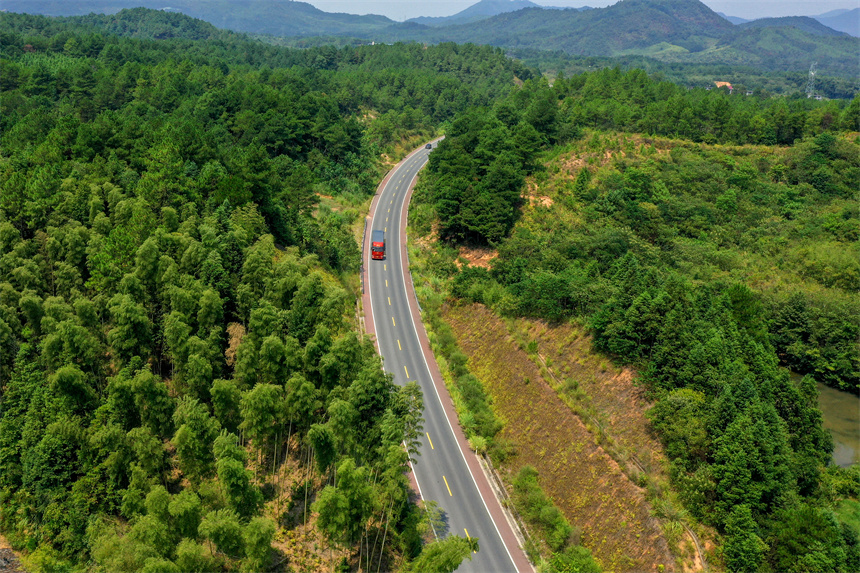 车辆行驶在乐安县G322公路上，犹如穿梭青山绿林间，美不胜收。黄煜摄