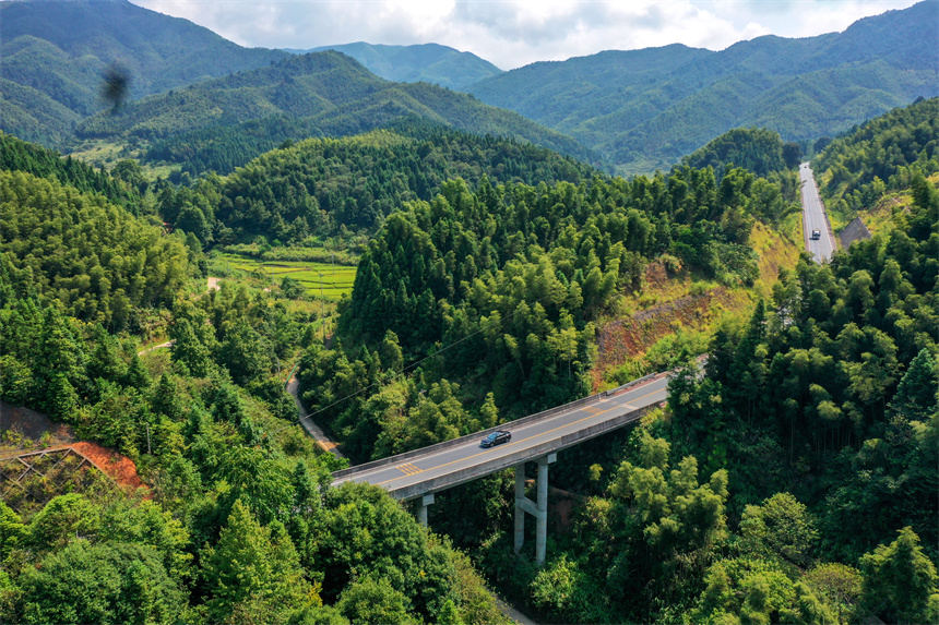 车辆行驶在乐安县G322公路上，犹如穿梭青山绿林间，美不胜收。黄煜摄