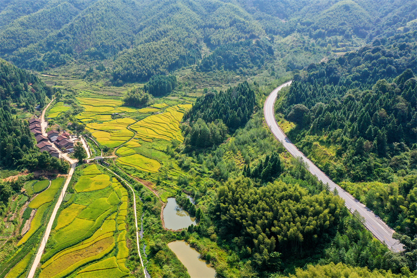 车辆行驶在乐安县G322公路上，犹如穿梭青山绿林间，美不胜收。黄煜摄