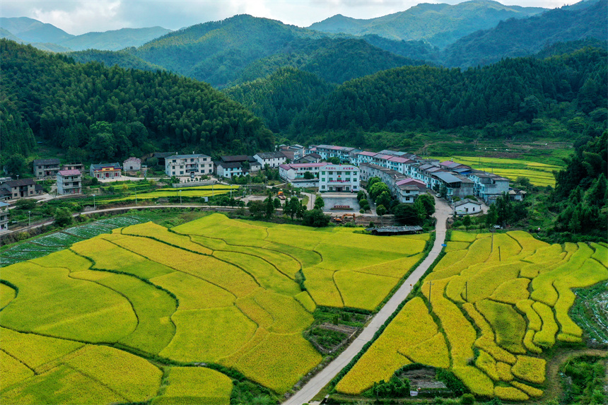 车辆行驶在乐安县G322公路上，犹如穿梭青山绿林间，美不胜收。黄煜摄