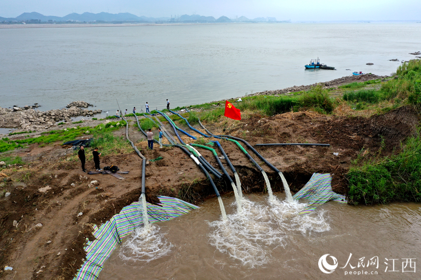 江西省彭澤縣棉船鎮用潛水泵從長江引水抗旱。 人民網 時雨攝