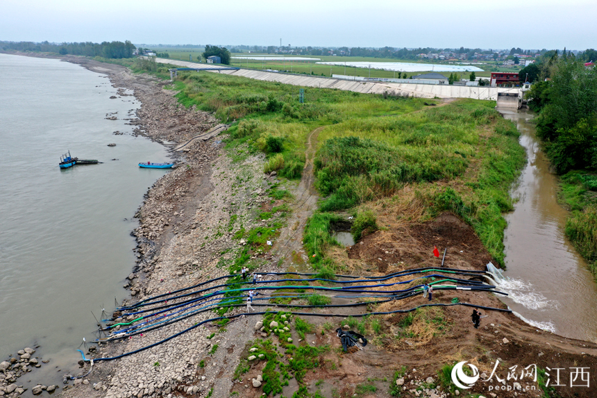 潛水泵將長江水引入圍堰后通過提水機站向農田輸送。 人民網 時雨攝