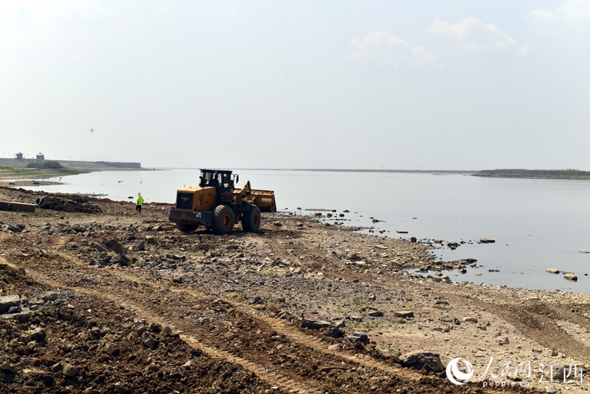 挖掘机将湖内成堆的废弃渔具挖出。 人民网 时雨摄