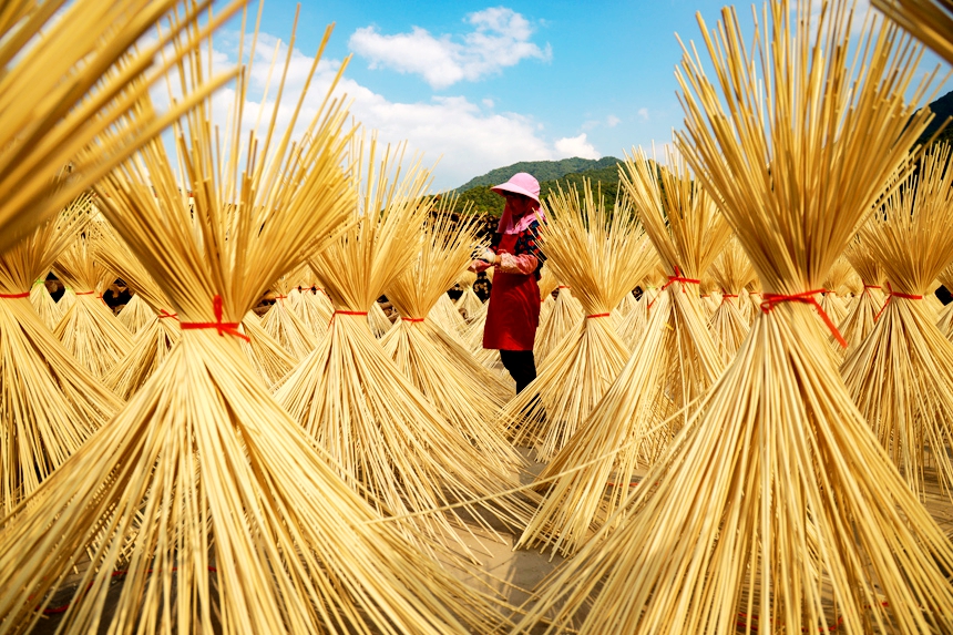 村民在乡竹制品厂晾晒毛竹半成品。李凡钦摄