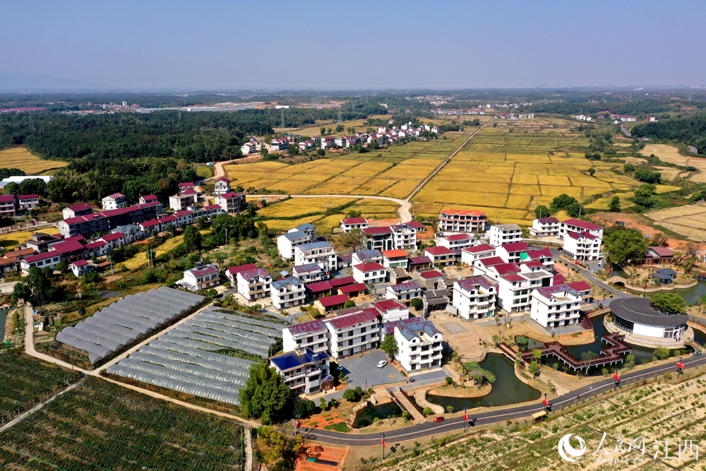航拍镜头下的安义县长均乡白沙村。 人民网 时雨摄