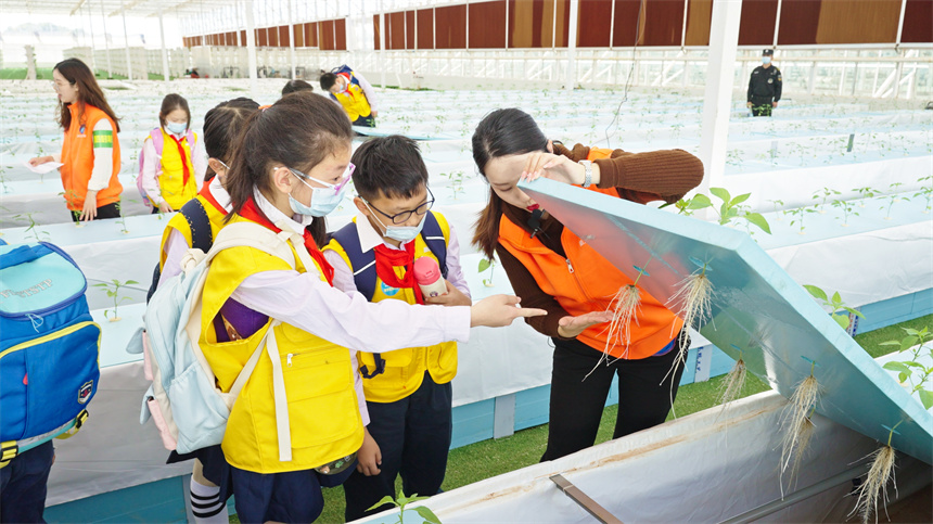 学生们参观气雾培种植车间，实地了解太空辣椒的种植情况。徐玉婷摄