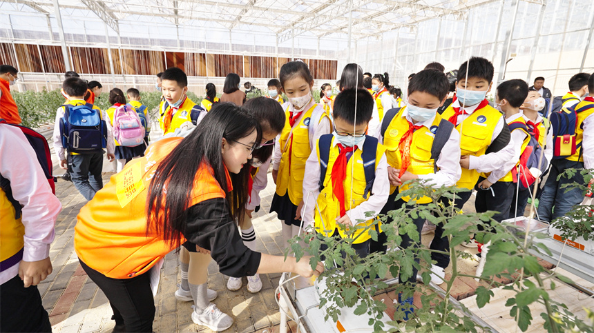 学生们参观6号航天植物工厂车间（番茄车间），该车间以太空育种的番茄作为培育对象。徐玉婷摄