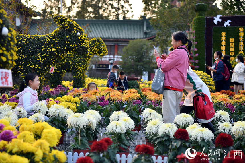 市民和游客在菊花展觀賞菊花。 人民網 時雨攝