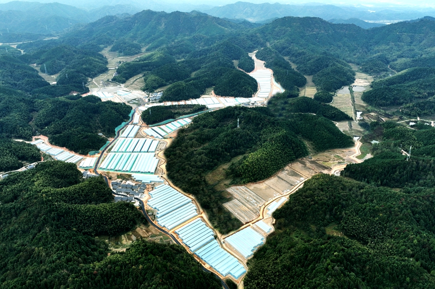 宜黄县棠阴镇小河村设施蔬菜示范基地。尹文兵摄