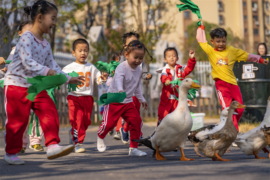 孩子们参加赶鸭子比赛。赵春亮摄