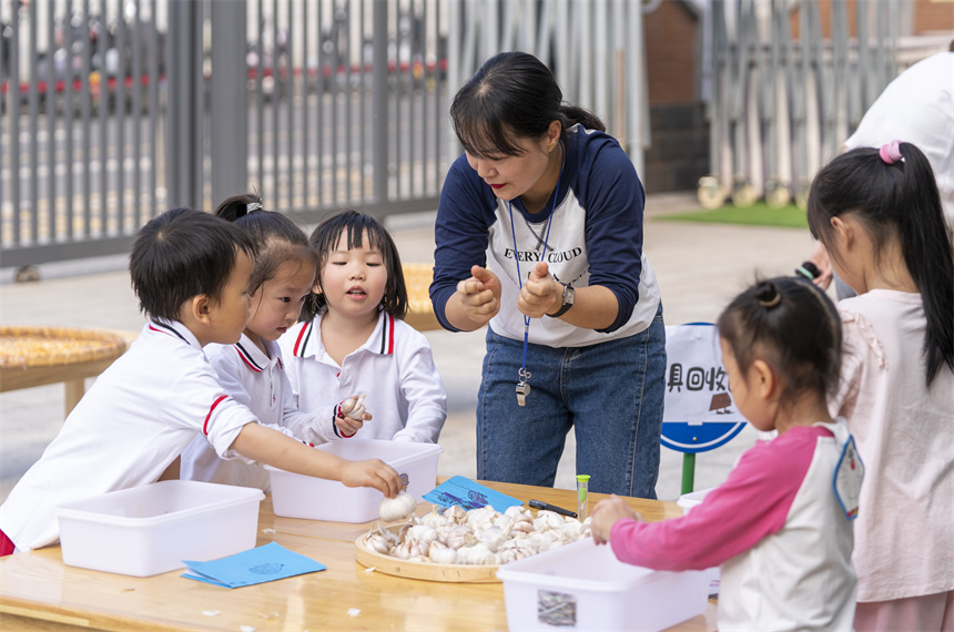 孩子们参加剥大蒜比赛。赵春亮摄