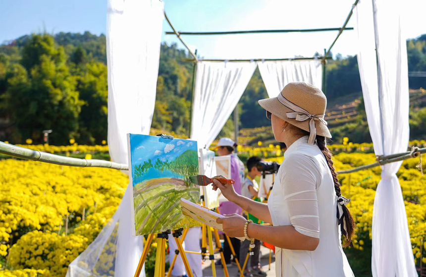 菊花基地还特别开辟写生区域，供绘画爱好者开展现场写生活动。陈旅摄