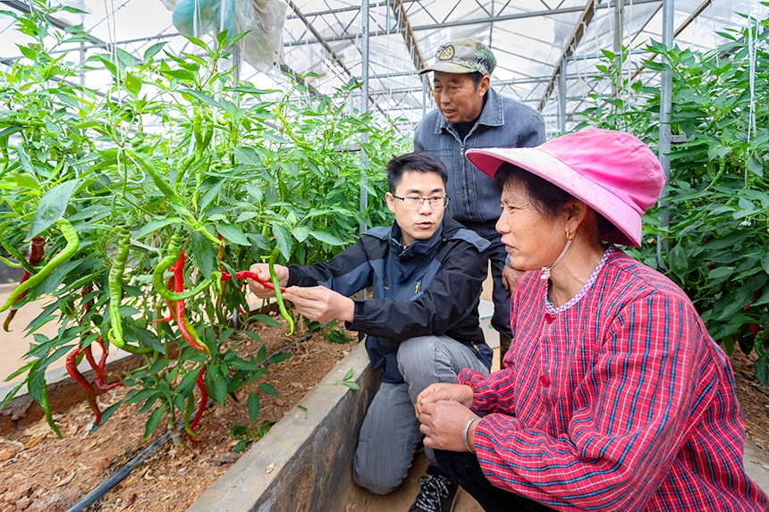 科技特派员在给菜农传授蔬菜种植技术。周亚茂摄