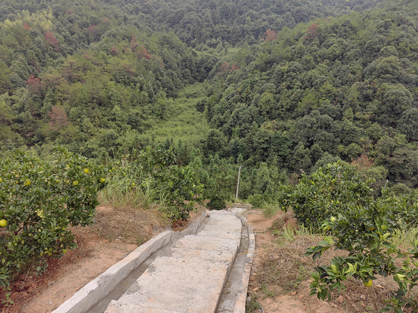 楊眉小流域項目果園內的水保措施。梁華攝