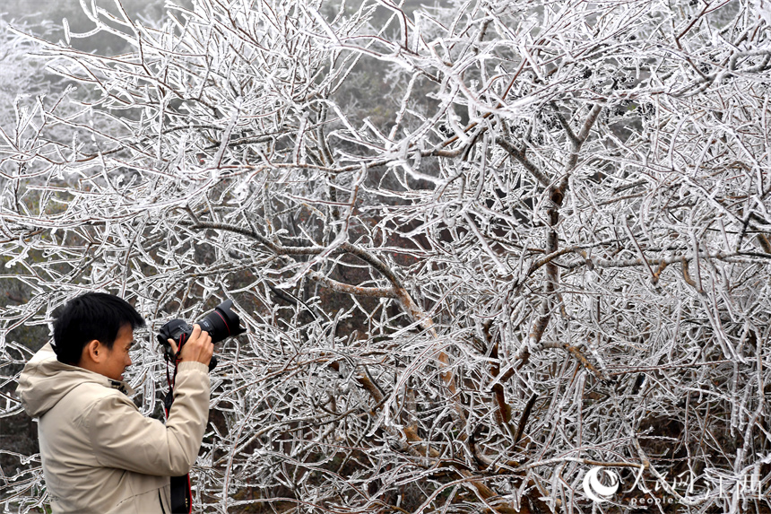 南昌梅岭高处玉树琼枝，摄影爱好者正在拍摄冬日景观。 人民网 时雨摄