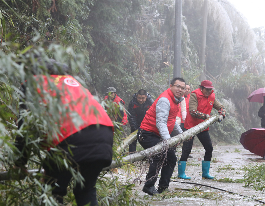 12月2日，在樂安縣湖溪鄉康村村的山區道路上，黨員干部正在清理被凍雨折斷的樹木。