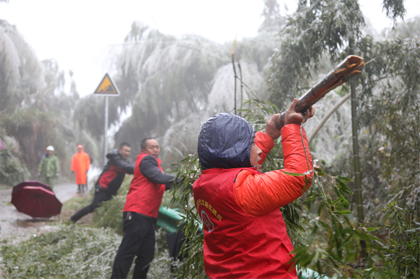 12月2日，在樂安縣湖溪鄉康村村的山區道路上，黨員干部正在清理被凍雨折斷的樹木。