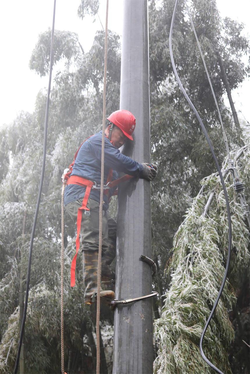 12月2日，在樂安縣湖溪鄉康村村的山區道路上，供電公司人員正在搶修受損供電線路。