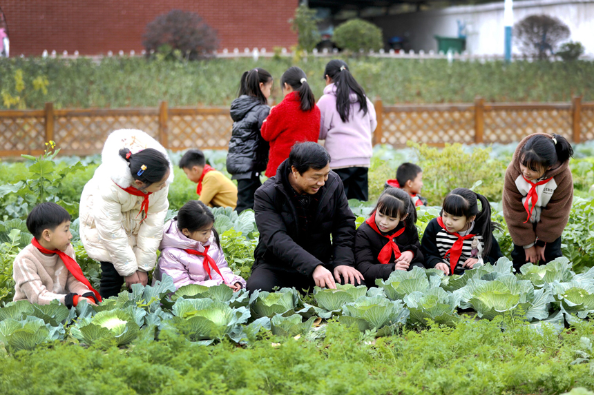 老师向孩子们讲解蔬菜管护知识。