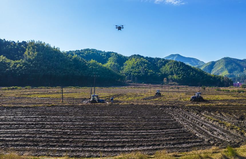 農戶們用旋耕機和無人機在田間翻耕、播種作業。吳志貴攝