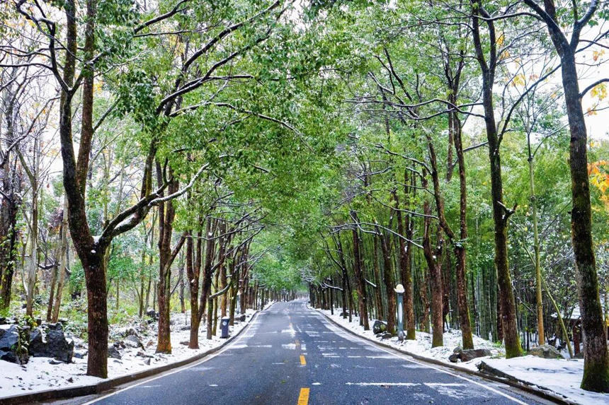 江西明月山迎瑞雪 地方供图