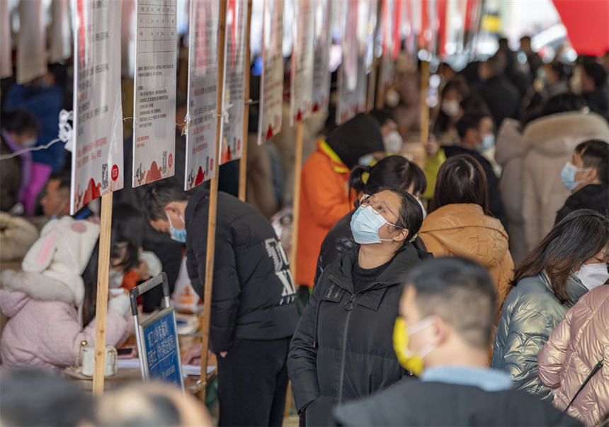 求職者在江西省新余市小年專場招聘會尋覓崗位。趙春亮攝