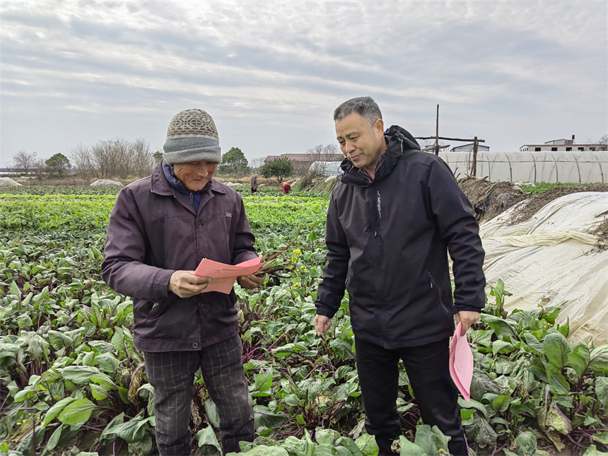 南昌县农业技术推广中心技术人员在田间地头“问诊” 。蔡冠华摄