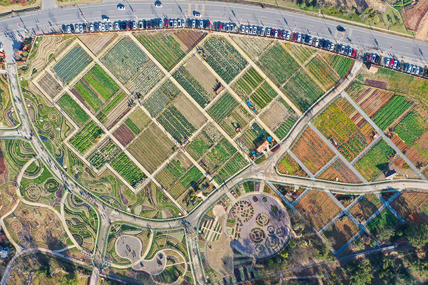 米花谷内游人如织。钟万汕摄