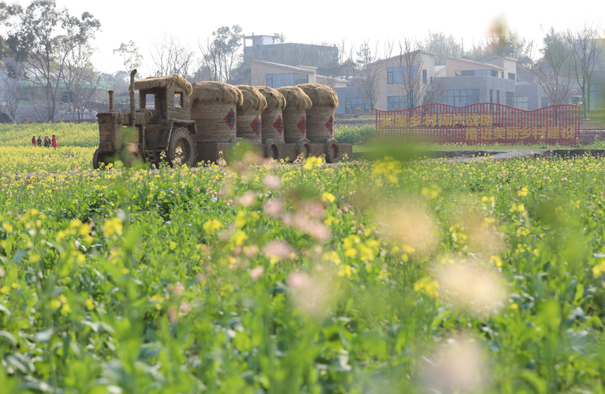 3、江西赣州蓉江新区迳背乡村振兴项目米花谷，一派春意盎然的景象。钟万汕摄