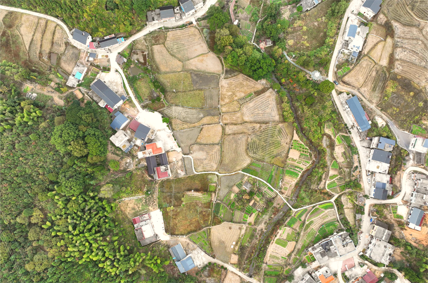 修水高标准农田建设，让农田”变“良田”  。匡任群摄