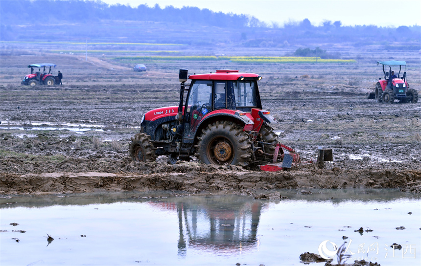 在江西省丰城市的农田里，“铁牛”穿梭，为春播做好准备。 人民网 时雨摄