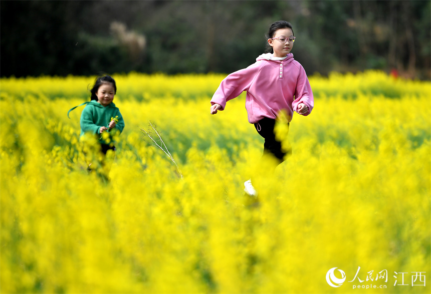 孩子们在花海里畅游。 人民网 时雨摄