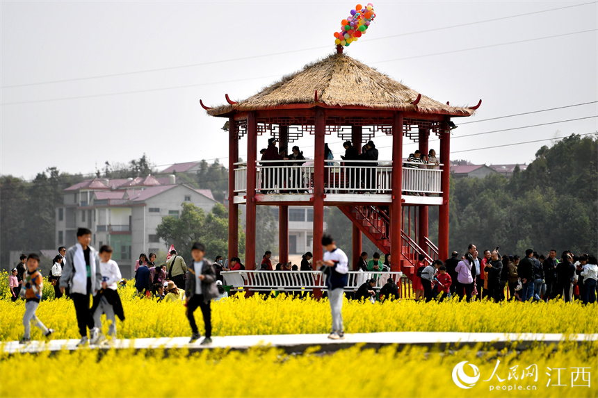 阳春三月，众多游客踏春赏花。 人民网 时雨摄