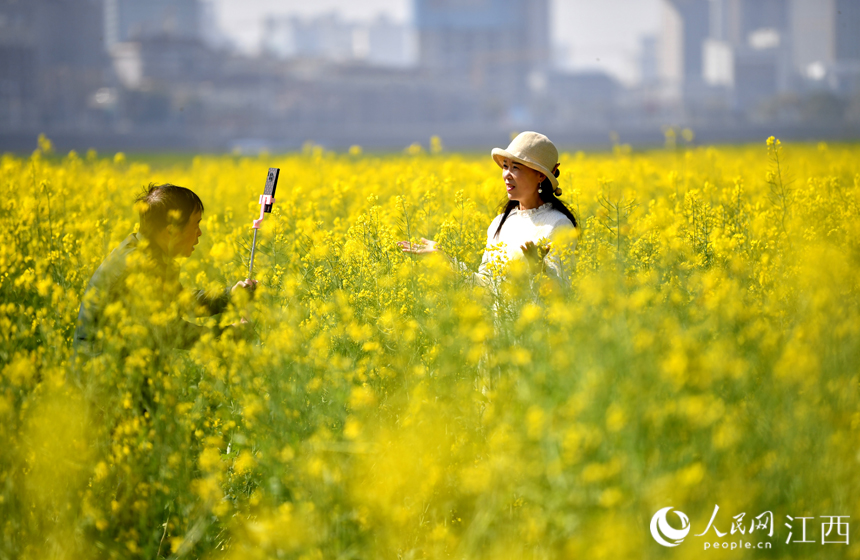 众多市民来到这里踏青赏花。 人民网 时雨摄