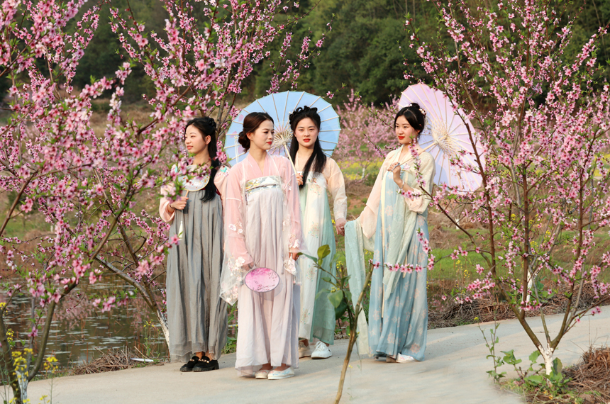 游客們身穿古裝在桃花園中游玩。 毛全發 攝