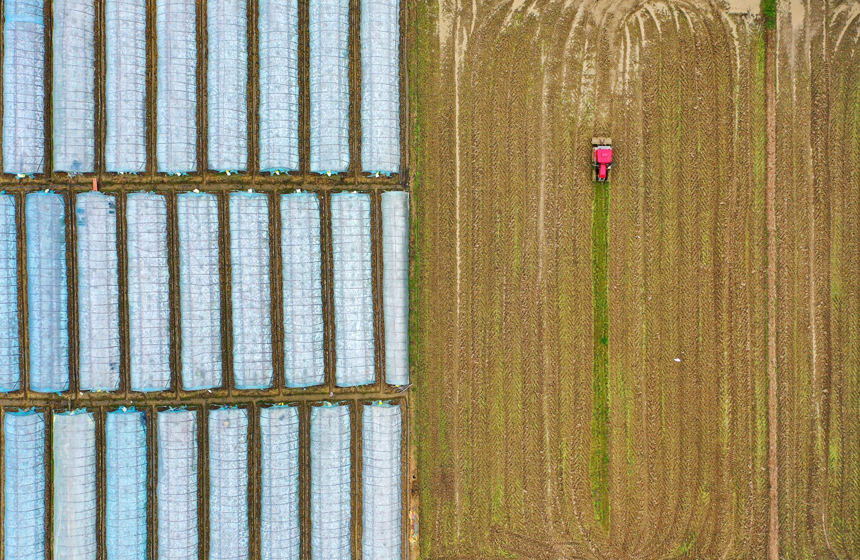 春分时节，村民正驾驶农用机械翻耕农田，为春种作好准备。陈旗海摄
