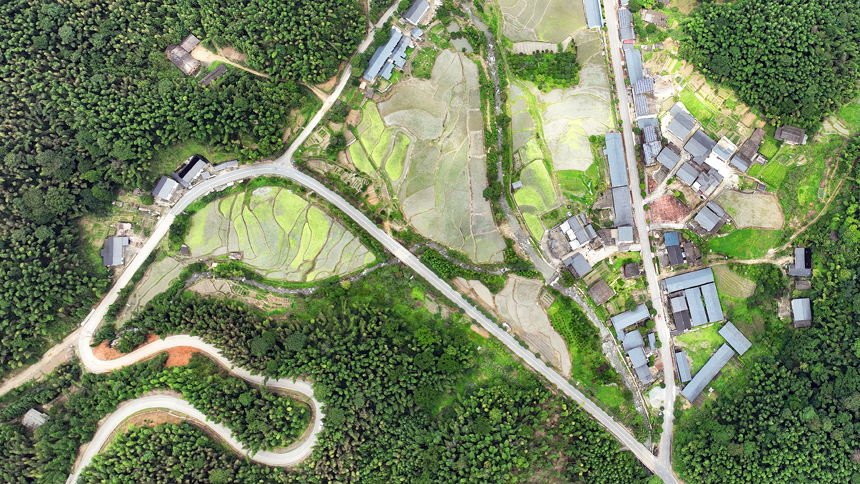 宜豐縣黃墾鎮九嶺村鄉村公路一隅。何賤來攝