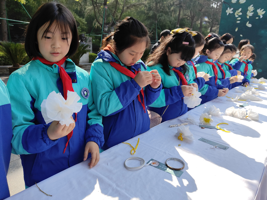学生们手折白玉兰花。胡小燕 摄