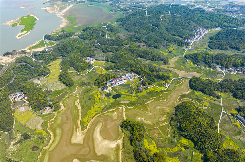 鄱阳湖湖口水域湿地春意盎然，如诗如画。李学华摄